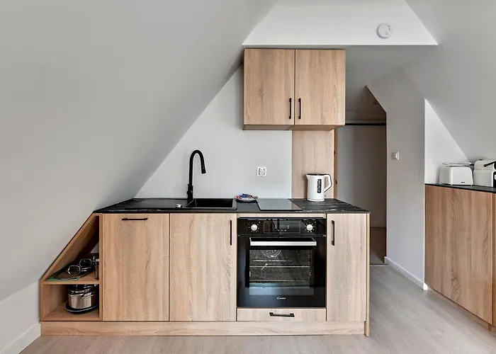 Comfort Dlugi Targ Lejlighed *